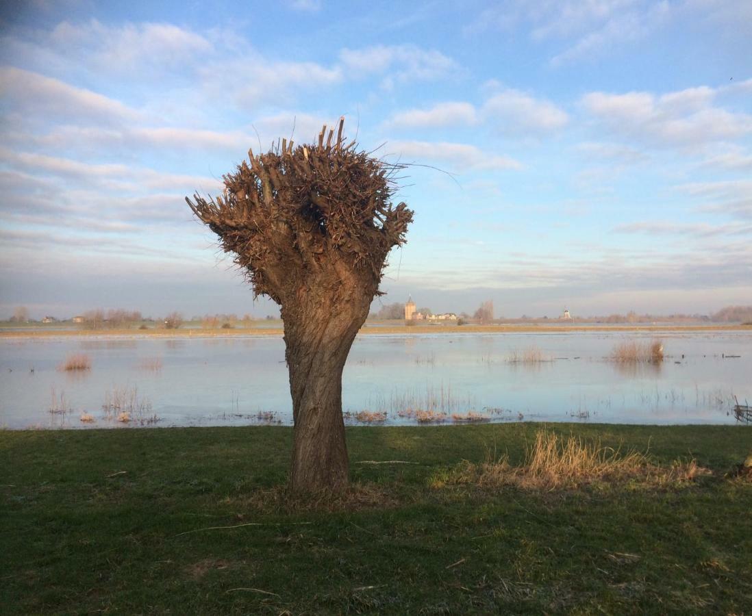 Unique Place On The River Waal Heerewaarden Buitenkant foto